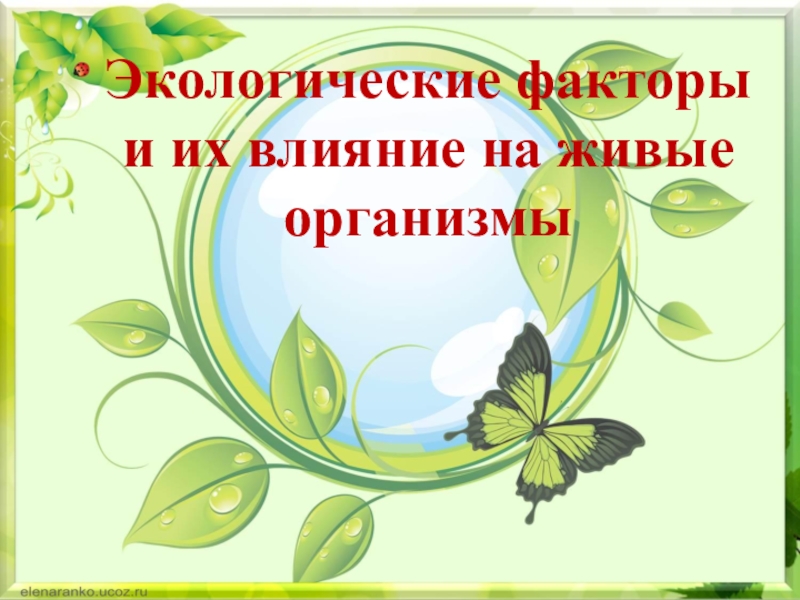 Проект по биологии 9 класс на тему экологические факторы и их влияние на организмы