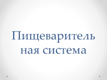 Пищеварительная система