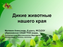 Презентация для занятий по логопедии Дикие животные нашего края, Митянин Александр, 6 класс, МС(к)ОУ Брюховская СКШИ VIII вида. Руководитель: Масленникова Маргарита Валерьевна, учитель-логопед