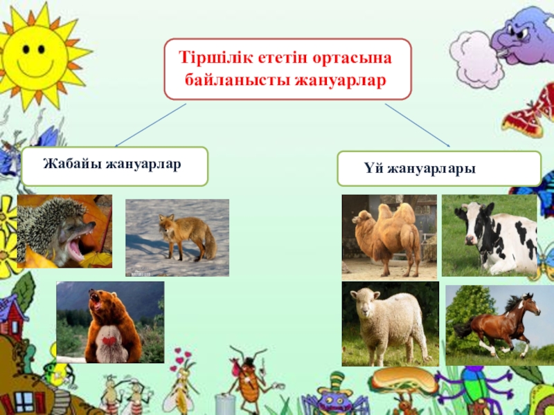 Өсімдіктер мен жануарлардың адам өміріндегі рөлі презентация