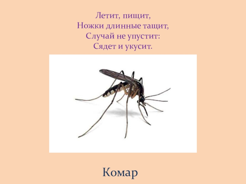 Почему комар пищит. Комар пищит. Летит пищит ножки длинные тащит случай не упустит сядет и укусит. Комар с длиннющими ногами укусил. Летит пищит ножки длинные тащит.