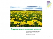 Презентация Одуванчик - сплошная польза.