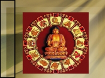 Презентация к уроку по теме Общая характеристика млекопитающих