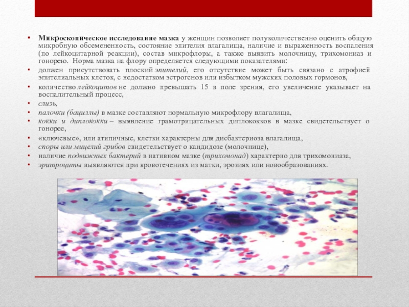 Микроскопическое исследование соскоба