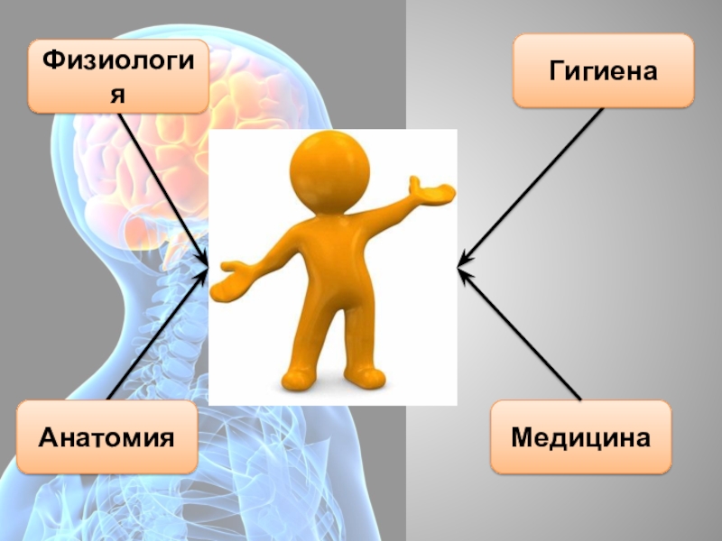 1 наука о человеке. Становление наук о человеке. Гигиена это в анатомии. Доклад становление наук о человеке.