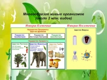 Презентация Эволюционные теории 9 класс
