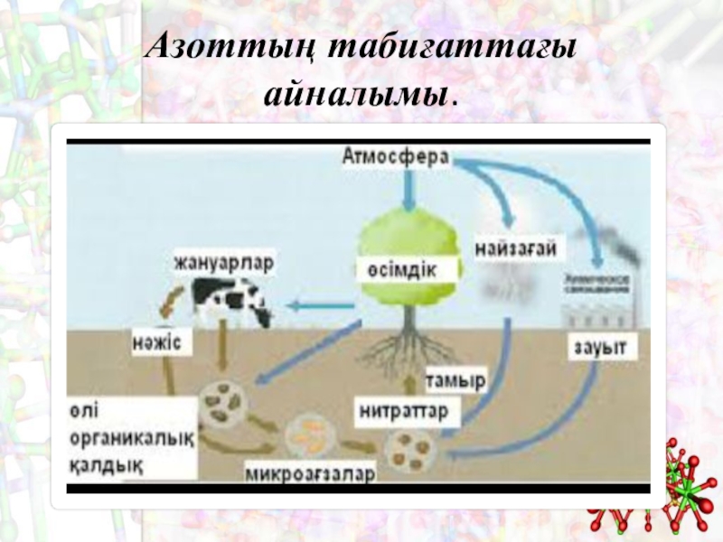 Көміртектің жалпы сипаттамасы презентация