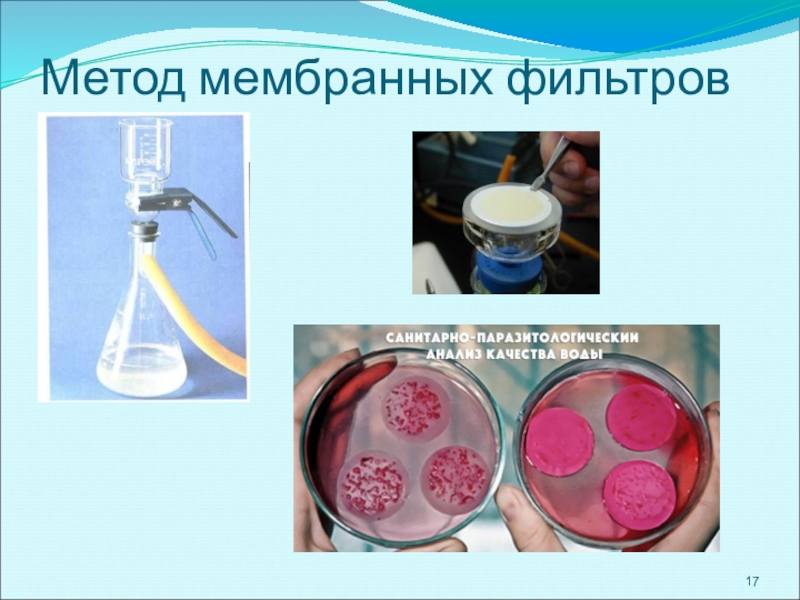 Метод мембранной фильтрации микробиология. Посев воды методом мембранных фильтров. Метод мембранной фильтрации. Метод мембранных фильтров микробиология. Метод месбранный фильтров.