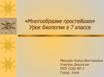 Презентация по биологии. Тема: Многообразие простейших (7 класс)