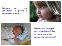 Презентация по биологии на тему:  Биосинтез белка