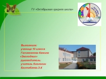 Проект по экологии Экоподвиг