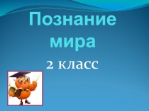 Презентация по познанию мира на тему Стебель (2 класс)