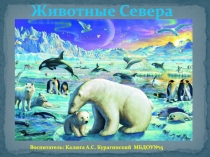 Презентация по развитию речи в средней группе Животные севера
