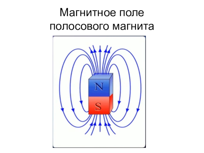 Магнитное поле  полосового магнита