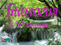 Презинтация по биологии на тему Шишка, Побег (6 класс)