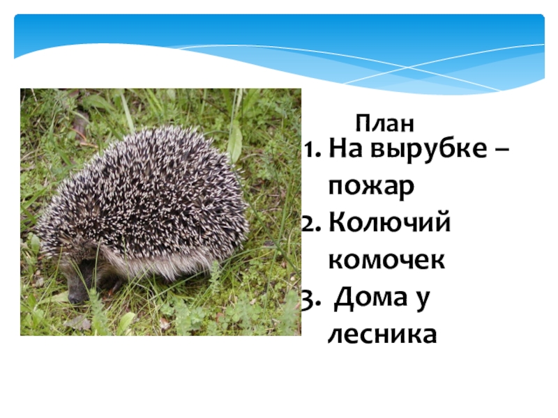 Изложение пожар в лесу паустовский 4 класс презентация