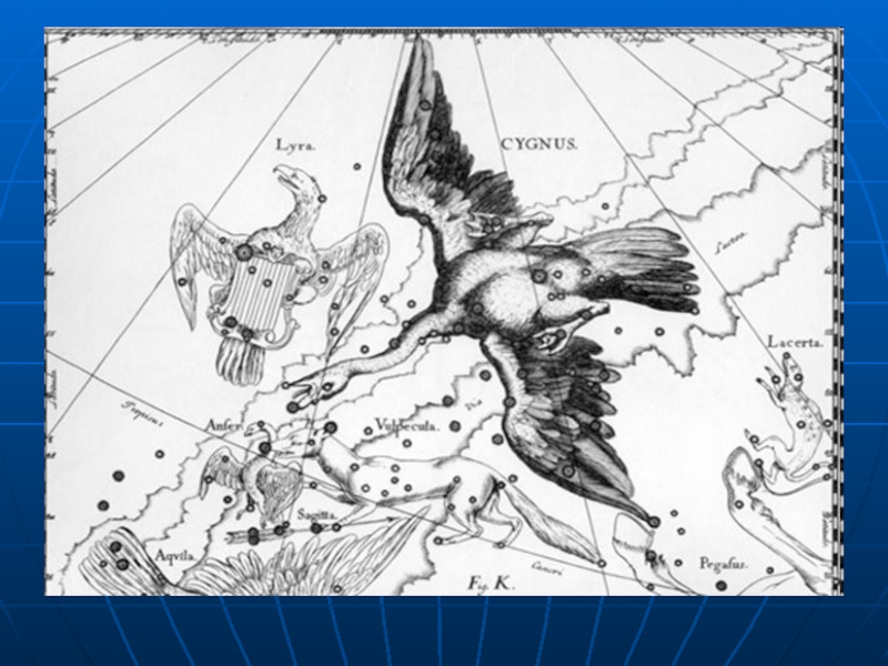 Найдите на изображении следующие созвездия орел лира лебедь