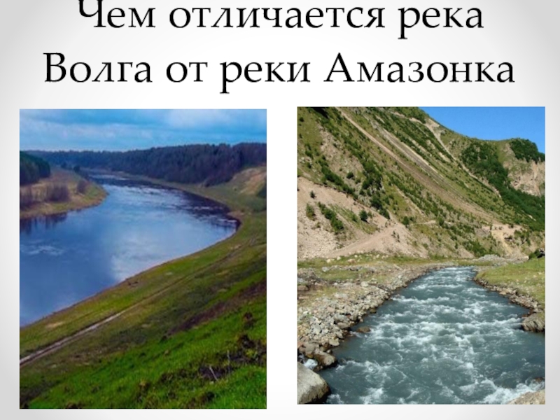 Чем отличается река Волга от реки Амазонка
