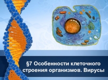 Презентация по биологии на тему Клеточное строение (9 класс)