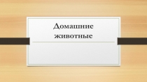 Презентация по окружающему миру Домашние животные.