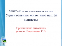 Презентация по окружающему миру Необычные животные планеты