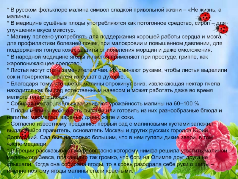 Сладка ягода текст песни. Что символизирует малинник. Не жизнь а малина. В русском фольклоре слова ягода. Малина символизирует.