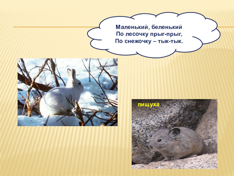 Что такое маленькое беленькое. Что такое маленькое беленькое. Что такое маленькое беленькое. Что такое маленькое беленькое. Что такое маленькое беленькое.