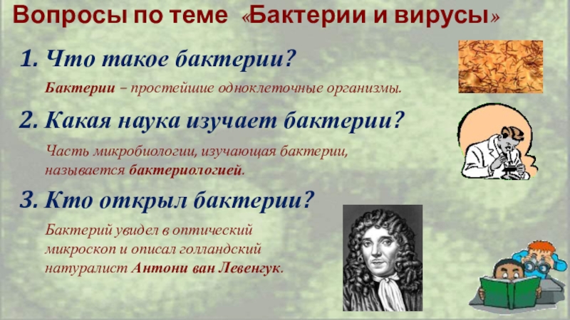 бактерии задания. вопросы по теме бактерии. контрольная работа бактерии. полезные и вредные микроорганизмы. контрольная работа по биологии 5 класс по теме бактерии.