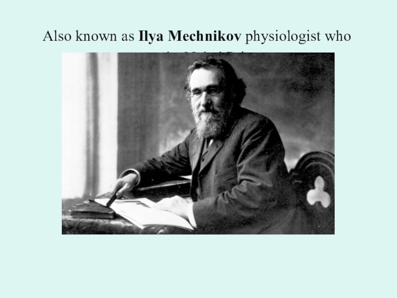 Илья Мечников Нобелевская премия. Великий русский физиолог Илья Мечников. Фотокопия диплома о присуждении и.и.Мечникову Нобелевской премии. Мечников на английском.