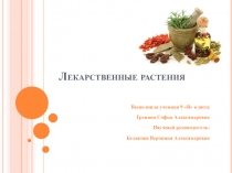 Презентация Лекарственные растения автор Тренина Софья (9 класс)