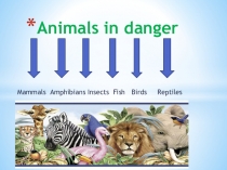 Презентация по английскому языку на тему Animals in danger
