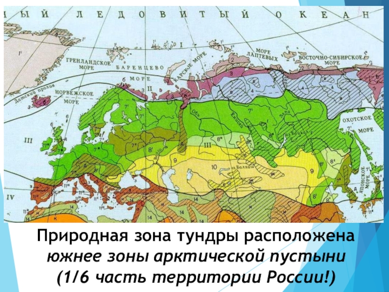 Холодная природная зона. Тундра на карте природных зон. Природная зона тундры расположена. Тундра на карте России природных зон. Карта природных зон Европы.