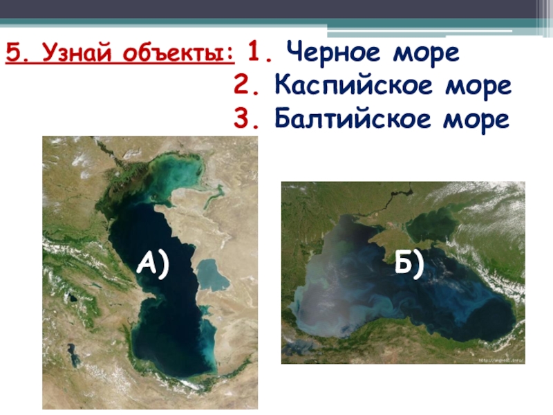 Балтийское и каспийское море на карте. Каспийское море и черное море. Площадь Каспийского моря. Наибольшая глубина Каспийского моря.