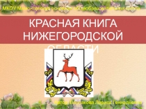 Презентация по экологии Красная книга Нижегородской области. Растения.