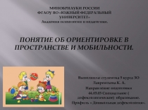 Понятие об ориентировке в пространстве и мобильности Лаврентьева К. А презентация