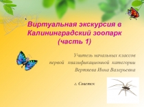 Презентация к классному часу Виртуальная экскурсия в Калининградский зоопарк (часть 1)
