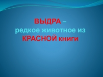 Презентация по биологии Особенности жизни речной выдры