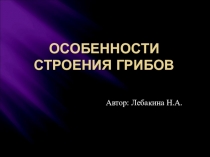 Презентация по биологии на тему Особенности строения грибов