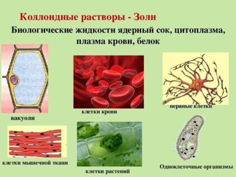 Коллоидные растворы презентация