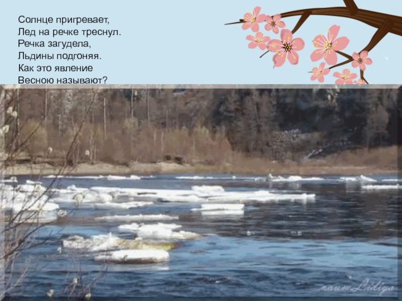 Стихи льдов читать. Весенний лед на реке. Ледоход презентация для детей. Река весной. Стих про весну.