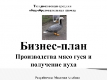 Презентация бизнес плана Производство мяса гуся и получение пуха