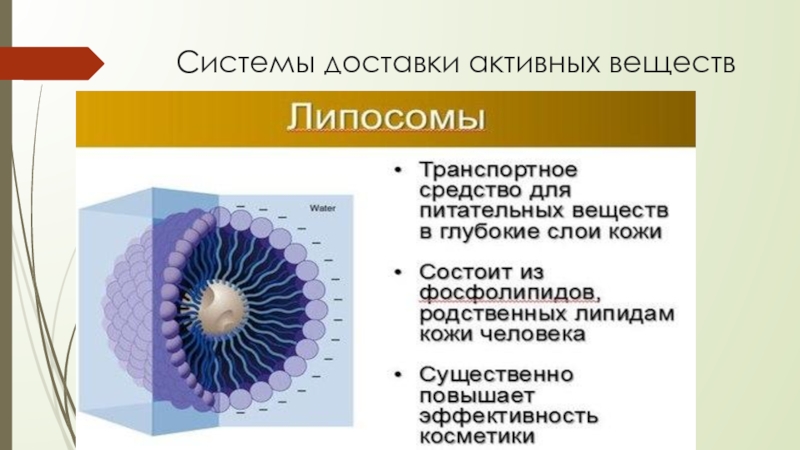 Нанотехнологии в косметологии презентация