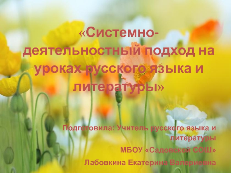 Презентация Системно-деятельностный подход на уроках русского языка и литературы