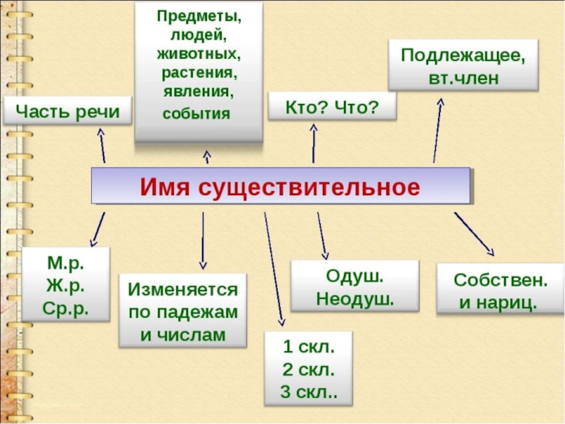 Русский язык 5 класс имя существительное презентация. Как изменяется имя существительное. Как изменяются имена существительные 5 класс. Как изменяется имя существительное 3 класс правило. Как изменяется имя существ.