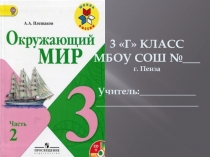 Презентация по окружающему миру Природа и наша безопасность (3 класс)