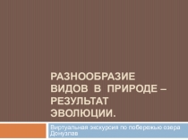 Презентация по биологии виртуальная экскурсия Разнообразие видов в природе- результат эволюции