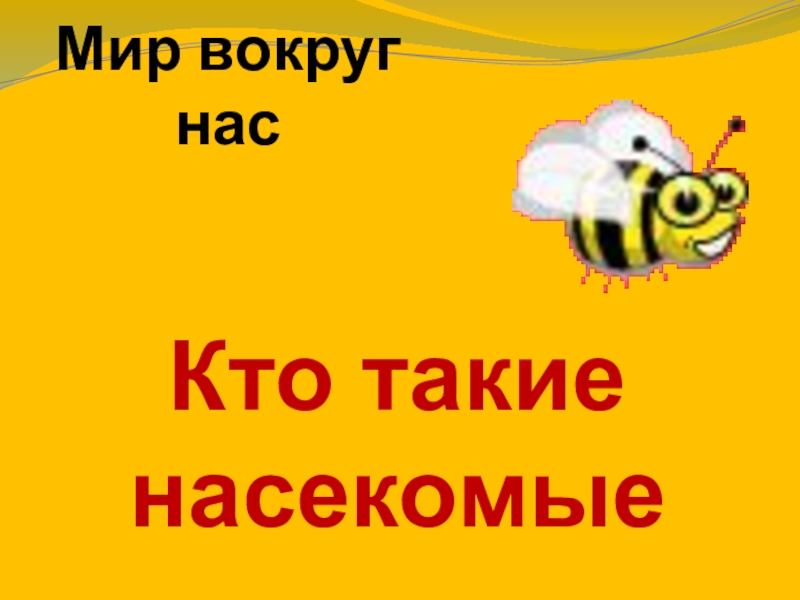 Презентация кто такие насекомые