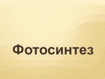 Презентация по биологии Фотосинтез
