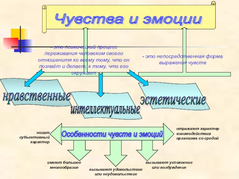 Развитие ощущения в младшем школьном возрасте