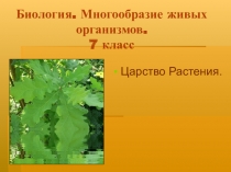 Презентация к уроку Общая характеристика Царства Растения (7 класс)